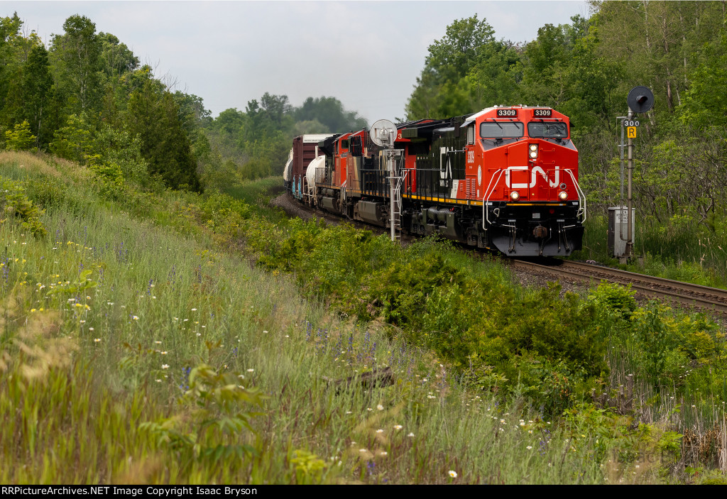 CN 3309